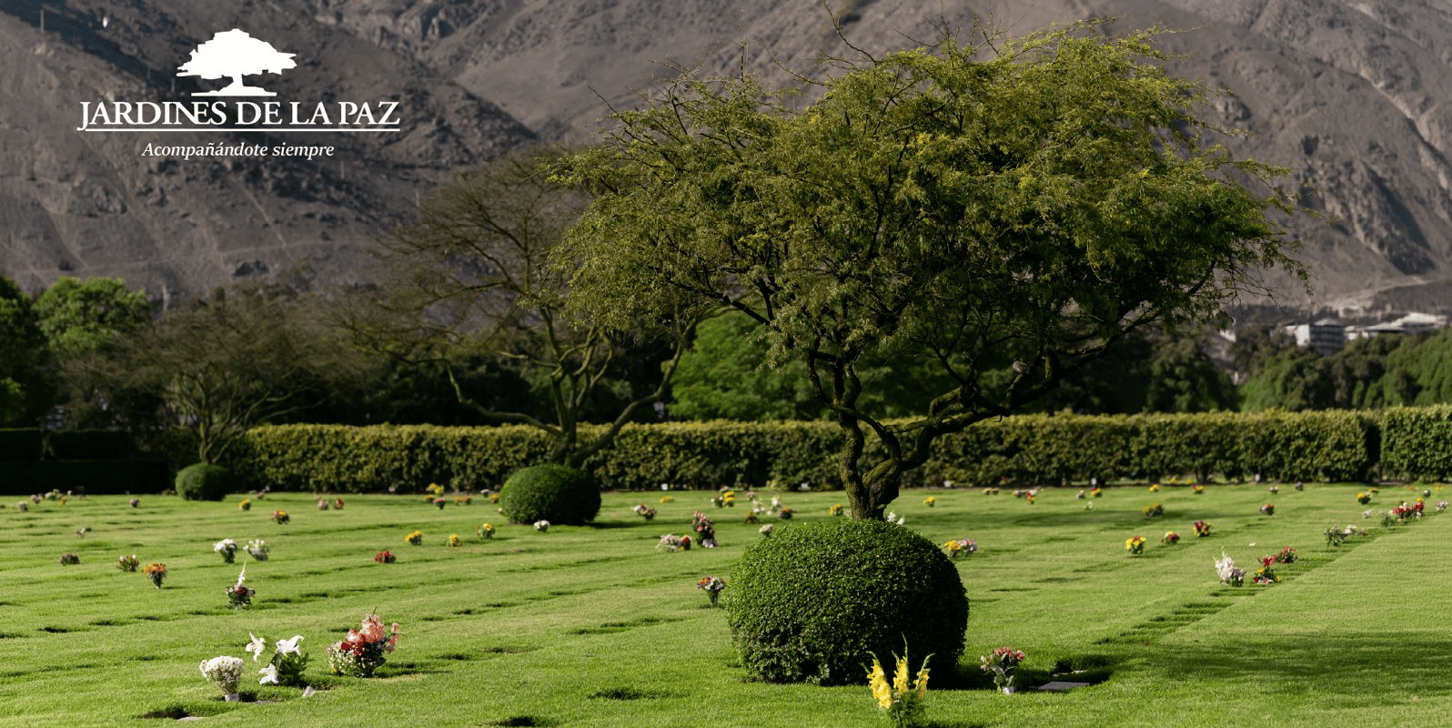 Jardines de la paz